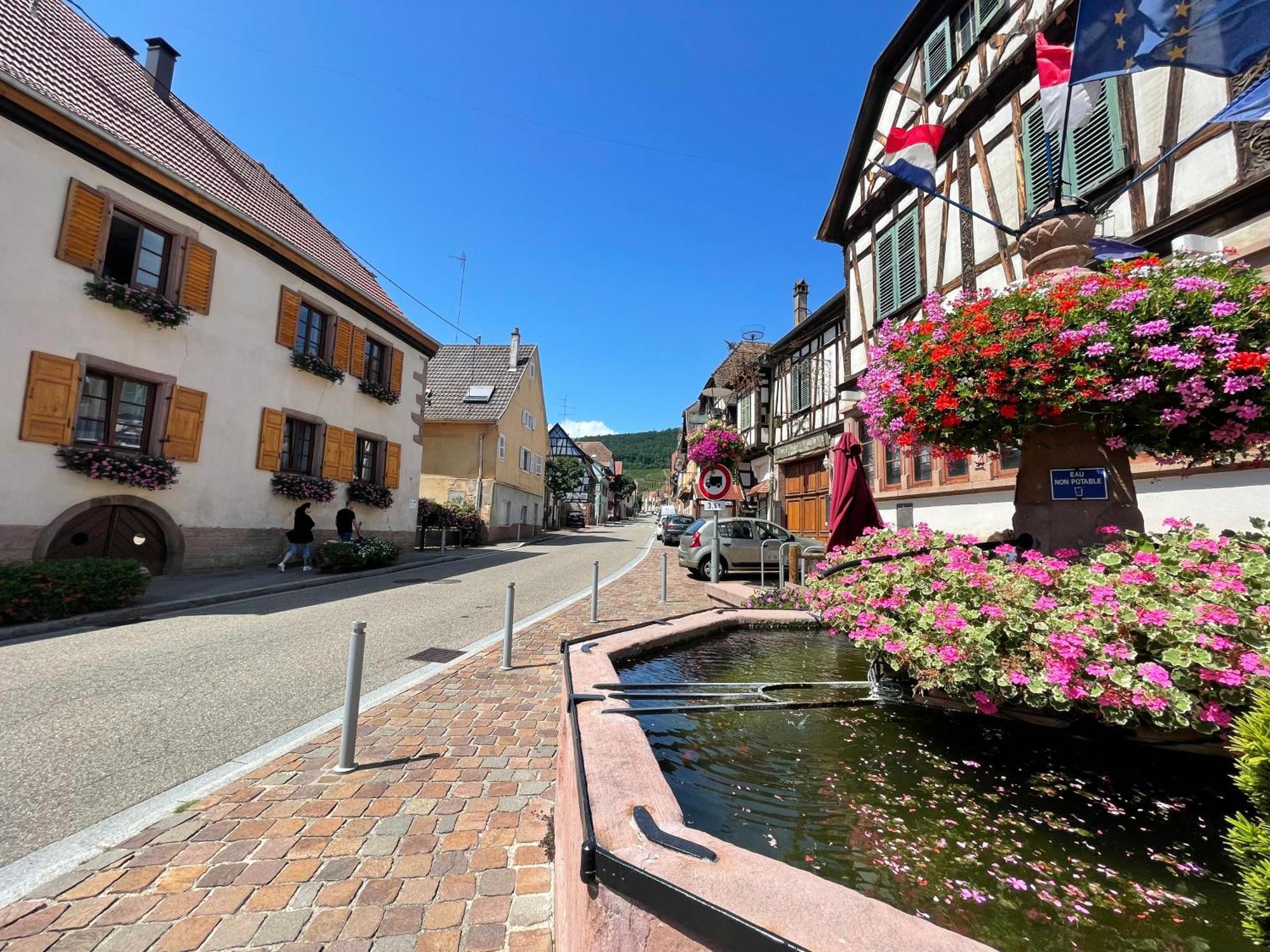 Gite A L'Aigle De Sable Kintzheim Exterior photo