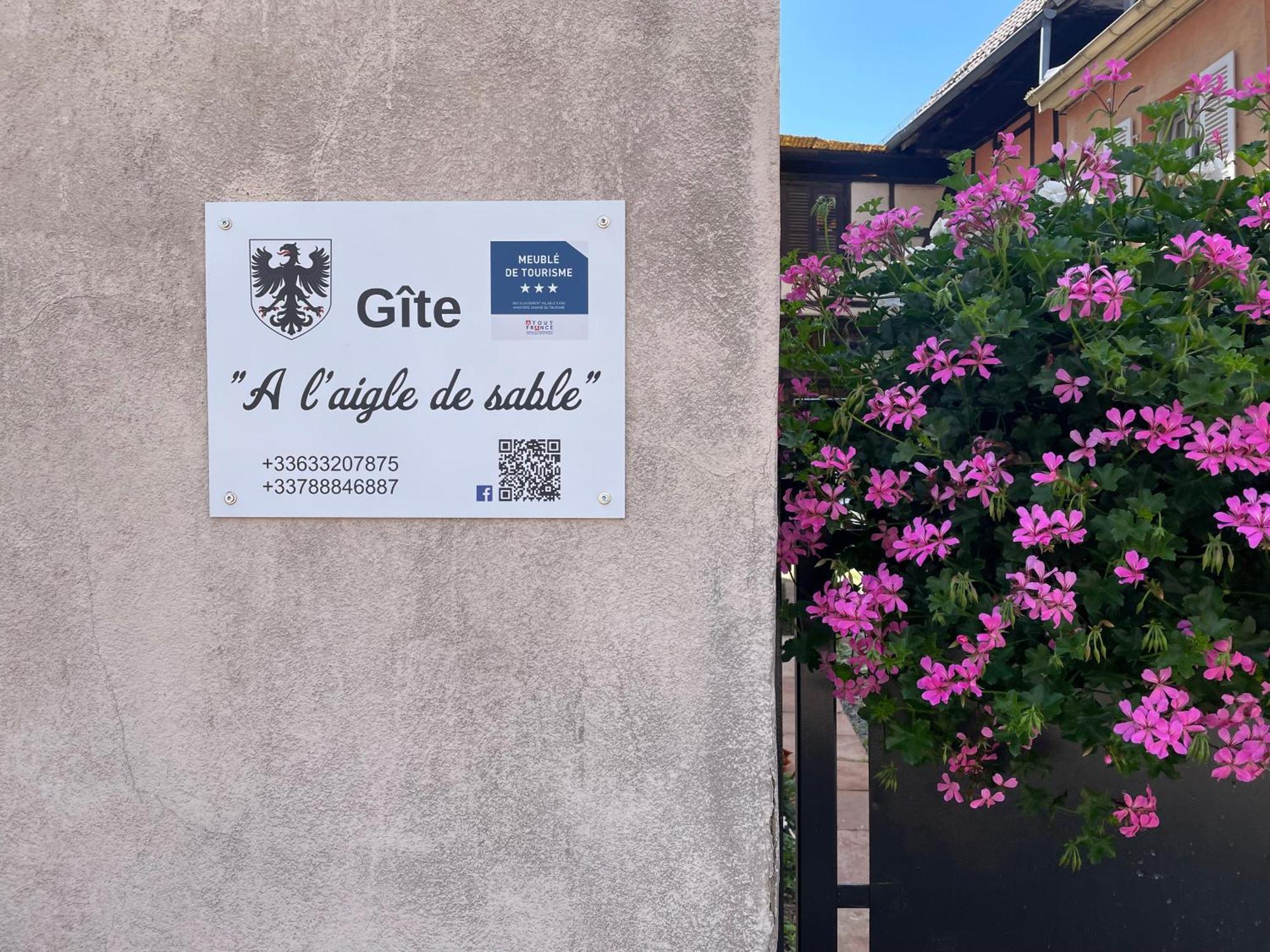 Gite A L'Aigle De Sable Kintzheim Exterior photo